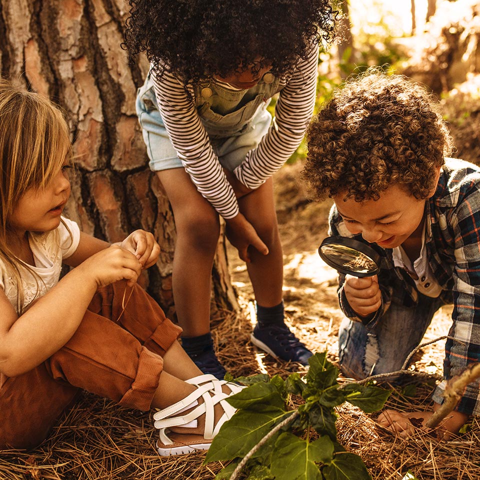 Children in forest looking at leaves through a magnifying glass